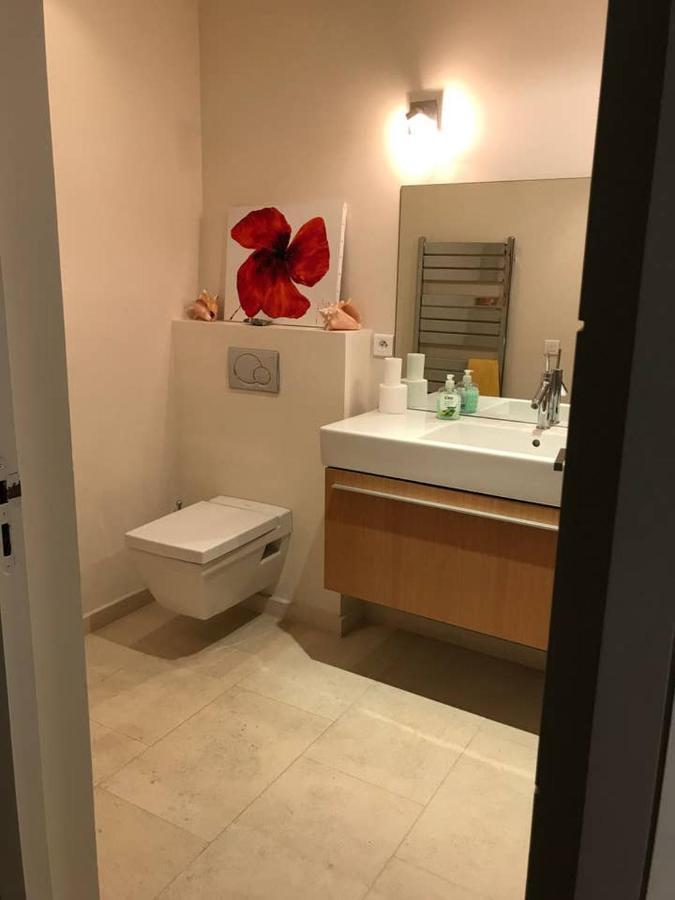 Independent One Bedroom Apartment Антіб Екстер'єр фото
